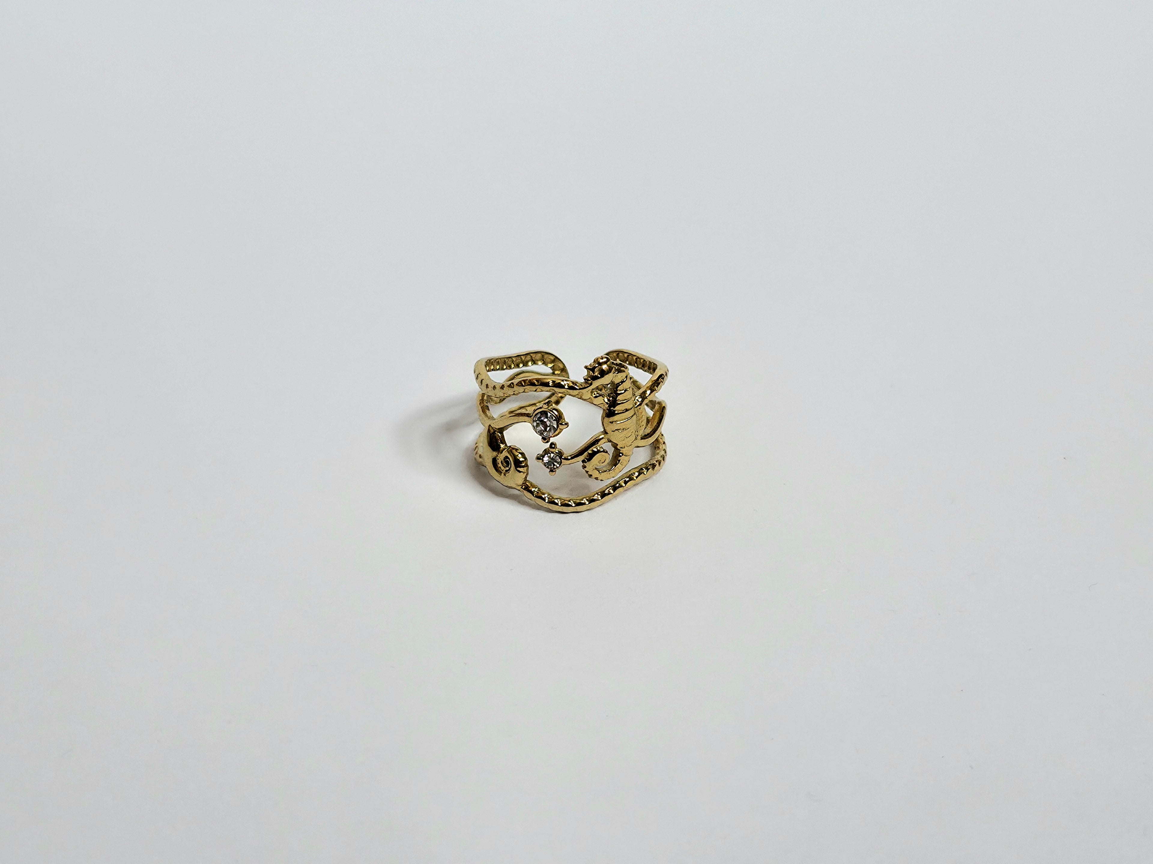 Anillo Fondo del Mar