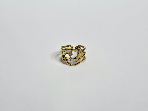 Anillo Fondo del Mar