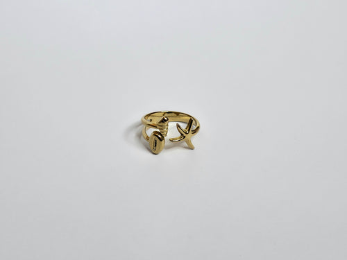 Anillo Verano Eterno