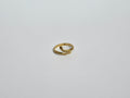 Anillo Serpiente