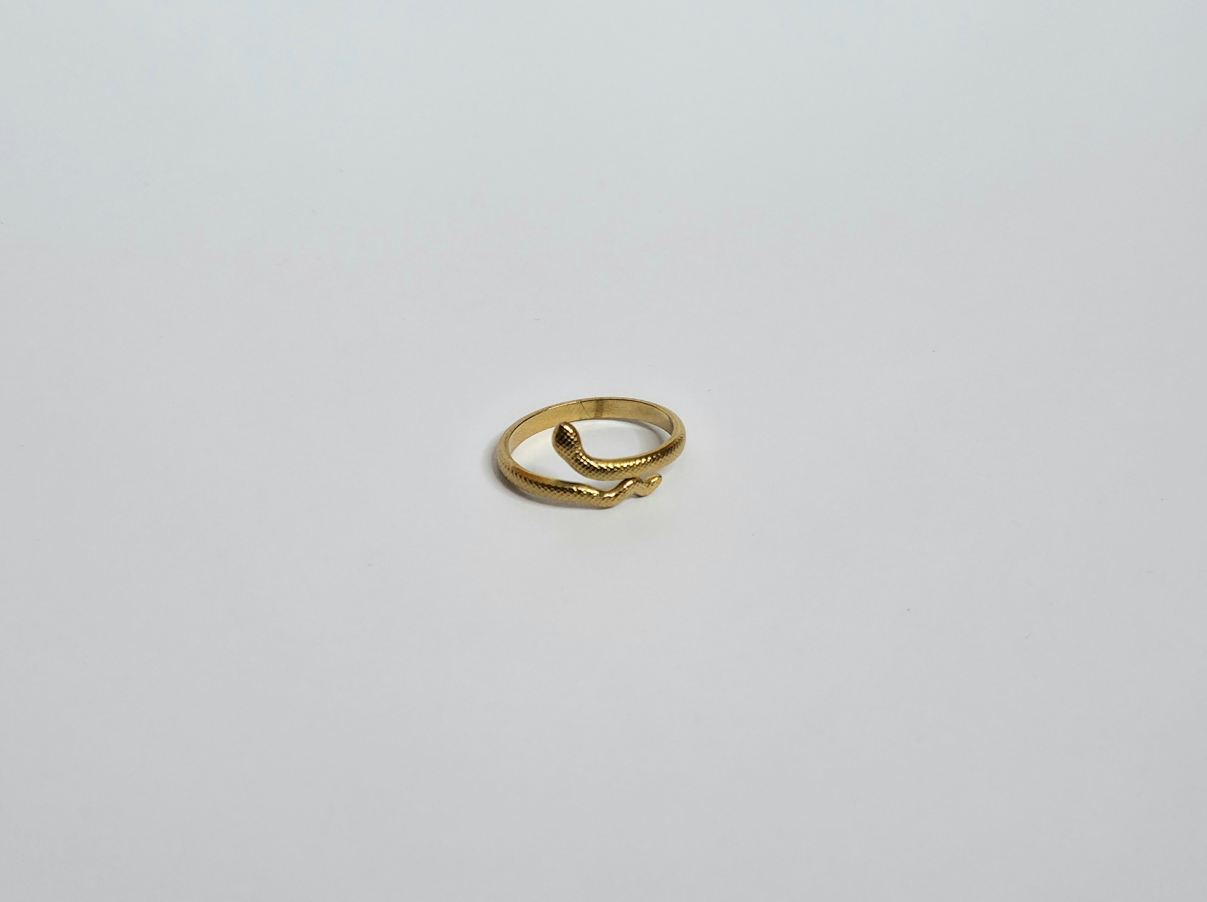Anillo Serpiente